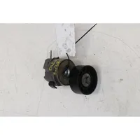 Fiat Ducato Generator/alternator belt tensioner 