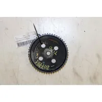 Fiat Tipo Camshaft pulley/ VANOS 