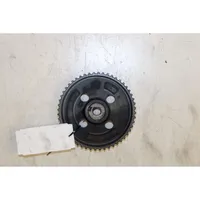 Fiat Tipo Camshaft pulley/ VANOS 