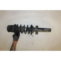 Ford Fiesta Front shock absorber/damper 