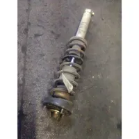 BMW 5 E39 Rear shock absorber with coil spring 