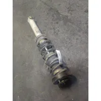 BMW 5 E39 Rear shock absorber with coil spring 