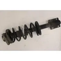 Fiat Ducato Front shock absorber/damper 