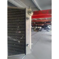 Volkswagen Golf I Heater blower radiator 