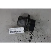 Hyundai Santa Fe Tendicinghia generatore/alternatore 