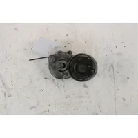 Renault Scenic III -  Grand scenic III Generator/alternator belt tensioner 