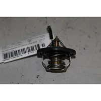 Hyundai i20 (PB PBT) Termostat / Obudowa termostatu 255002B000