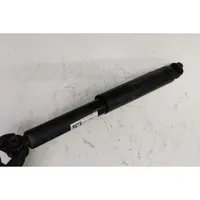 Fiat Doblo Rear shock absorber with coil spring 