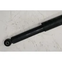 Fiat Doblo Rear shock absorber with coil spring 