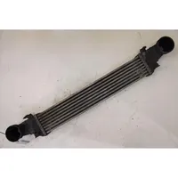 Mercedes-Benz E W211 Radiatore intercooler 