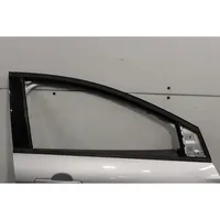 Ford Focus Front door 