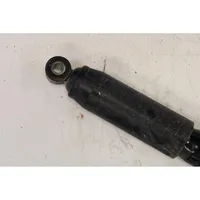 Fiat Ducato Rear shock absorber/damper 