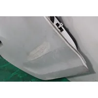 Dacia Sandero Rear door 