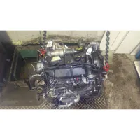 Ford Focus Moteur T1DB