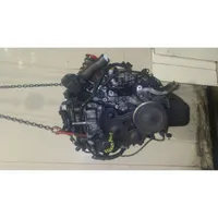 Ford Focus Motor T1DB