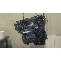 Ford Focus Motor T1DB