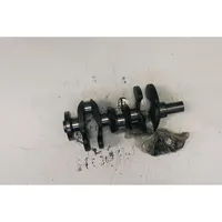 Ford Ecosport Crankshaft 