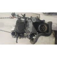 Volkswagen Golf Plus Engine BXE