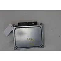 Fiat Tipo Fuel injection control unit/module 