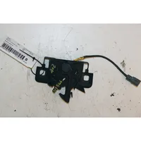 Renault Zoe Tie down hook / loop 