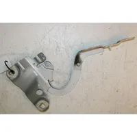 Renault Zoe Engine bonnet/hood hinges 