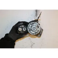 Dacia Sandero Starter motor 