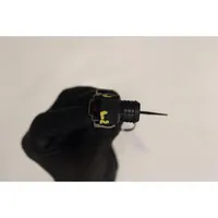 Ford Puma Cita veida sensors 