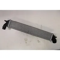 Renault Laguna III Chłodnica powietrza doładowującego / Intercooler 