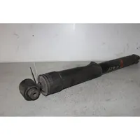 Renault Laguna III Rear shock absorber with coil spring 