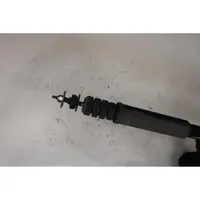 Dacia Logan II Rear shock absorber with coil spring 