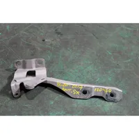 Hyundai ix20 Engine bonnet/hood hinges 