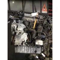 Seat Toledo III (5P) Engine 