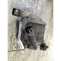 Nissan Primera Chłodnica powietrza doładowującego / Intercooler 