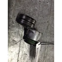 Volvo S40, V40 Generator/alternator belt tensioner 