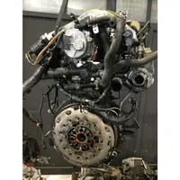 Nissan Primera Silnik / Komplet 