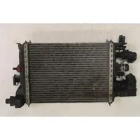 Dacia Dokker Coolant radiator 