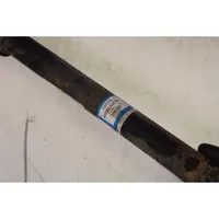 Toyota Urban Cruiser (XP110) Rear shock absorber with coil spring 