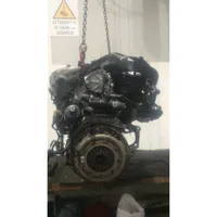 Ford Focus Motor 