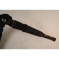 Dacia Sandero Rear shock absorber with coil spring 