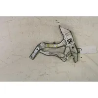 Mercedes-Benz A W169 Engine bonnet/hood hinges 