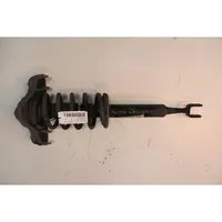 Audi A4 S4 B7 8E 8H Ammortizzatore anteriore 