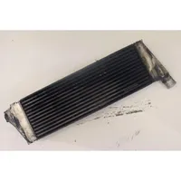 Renault Megane II Intercooler radiator 