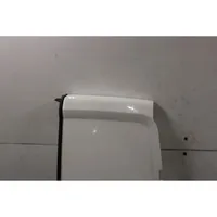 Fiat Doblo Portiera di carico posteriore 