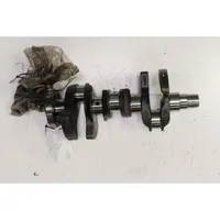 Volkswagen Polo V 6R Crankshaft 