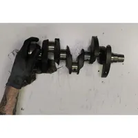 Volkswagen Polo V 6R Crankshaft 