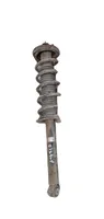 Honda Accord Rear shock absorber with coil spring 020M1