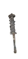 Honda Accord Rear shock absorber with coil spring NOCODE