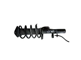 Ford C-MAX II Front shock absorber with coil spring BV6118K001LB