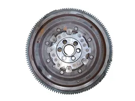 Volkswagen Tiguan Dual mass flywheel 2231000561