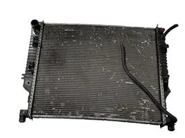 Mercedes-Benz R W251 Dzesēšanas šķidruma radiators A2515000304